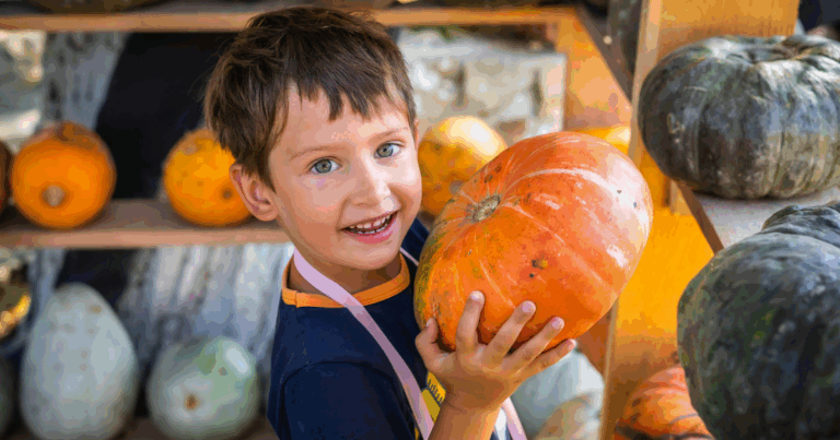 Best pumpkin patches in SLO